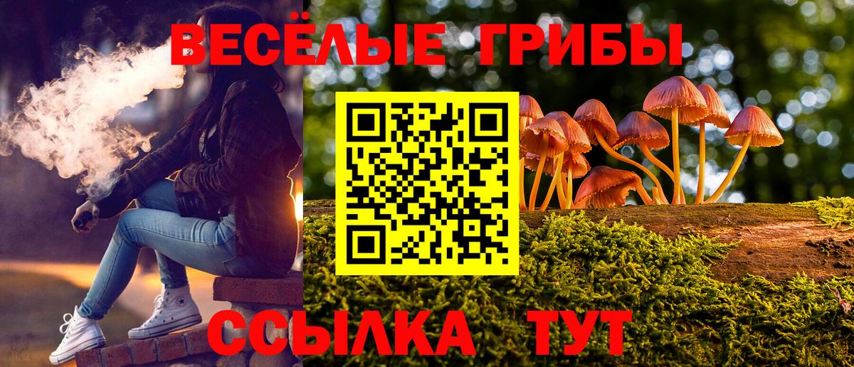 Галлюциногенные грибы Magic Shrooms  Вход с VPN  Ликино-Дулёво 