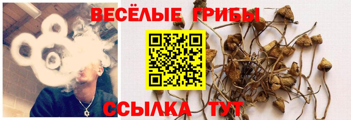 Псилоцибиновые грибы мухоморы Ликино-Дулёво
